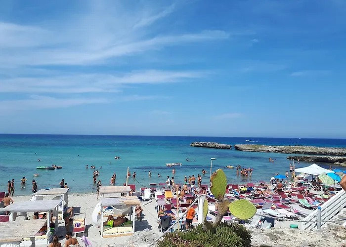 Cate A Mare